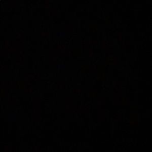 Meet your Posher, Camryn